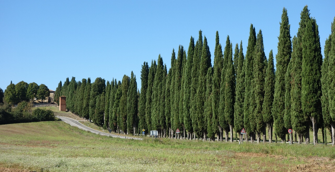Cutreierand Toscana